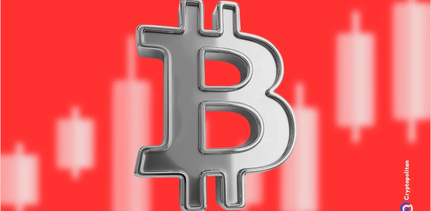 crypto.webp.webp