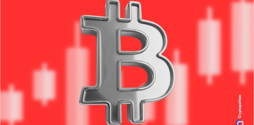 crypto.webp.webp