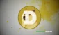 doge4358989453-20.webp.webp