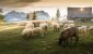 getty-images-LnNo-opESiw-unsplash-scaled-e1757708915885.jpg