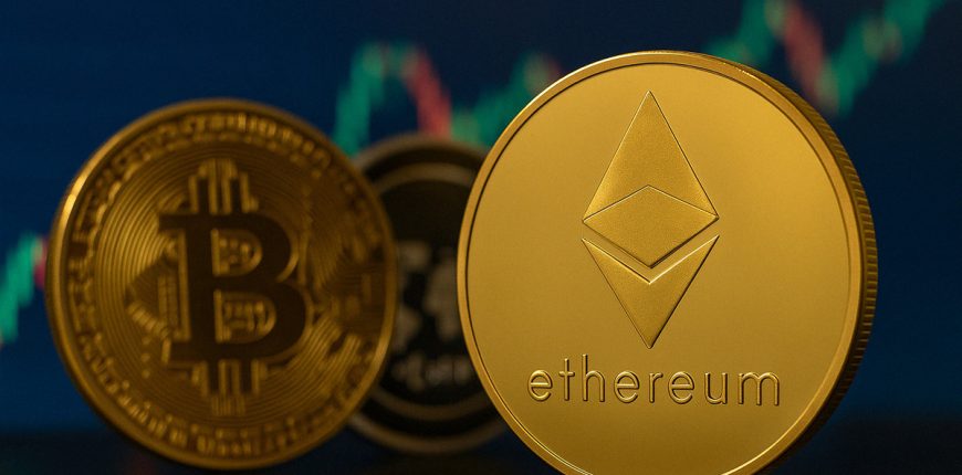 image3-1496.jpg image3-1496.jpg