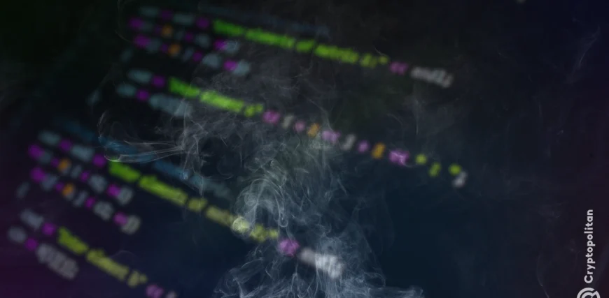 malware-targeting-crypto-wallets.webp.webp
