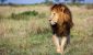 matt-bango-NGxJuEBHnSE-unsplash-scaled-e1757099211346.jpg