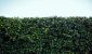 osman-rana-aEcF58jG1n4-unsplash-scaled-e1758916650673.jpg
