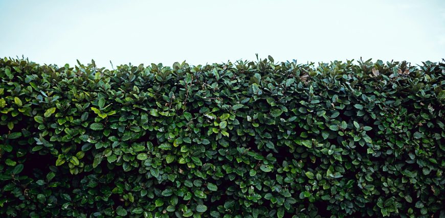 osman-rana-aEcF58jG1n4-unsplash-scaled-e1758916650673.jpg