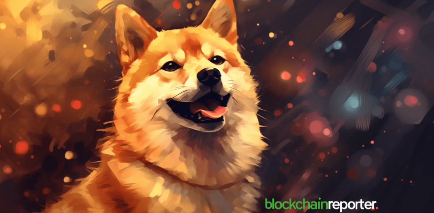 shiba-inu-shib1-10.png