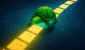 turtle-.jpg