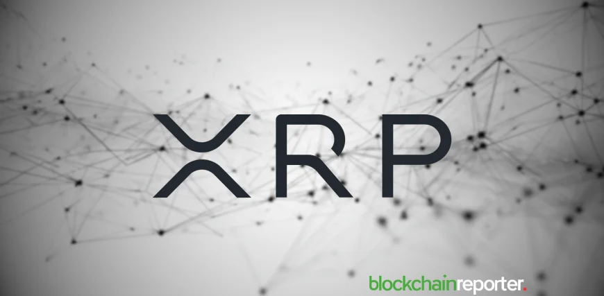 xrp.webp.webp