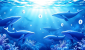 68f1af9f95f86844c65d0576_68f1af9d8b8c83908985aab8_lastImage.png