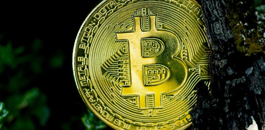 97ccf300-b677-11f0-b63e-1fb32b9156fc.jpeg 97ccf300-b677-11f0-b63e-1fb32b9156fc.jpeg