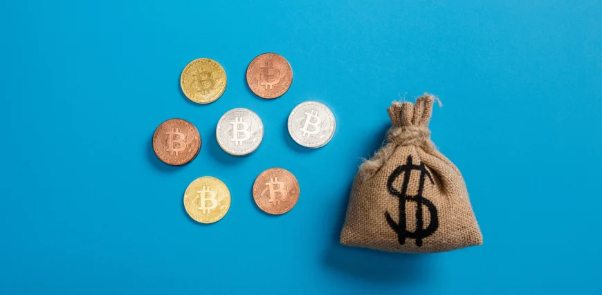 BTC-coins-small-money-bag.webp.webp