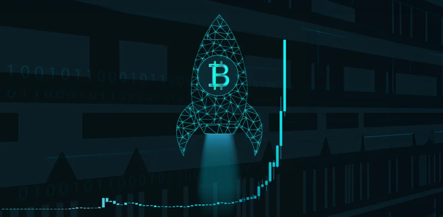 BTC-logo-on-a-rocket-ship.webp.webp