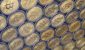GettyImages-2239689526-151cc1f418064e1caf4c487b8861beeb.jpg