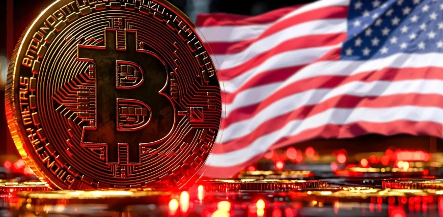 Rise-of-Popularity-in-Crypto-USA.jpg