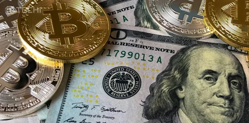 Why-2025-Has-Been-a-Vintage-Year-for-Crypto-Adoption-984x492.webp.webp