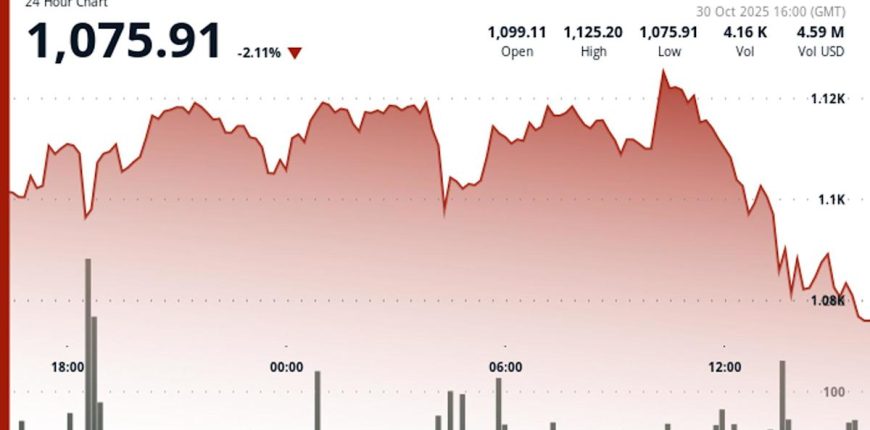 ad3107fd68f2fd22be5682134c8cc768.jpeg ad3107fd68f2fd22be5682134c8cc768.jpeg