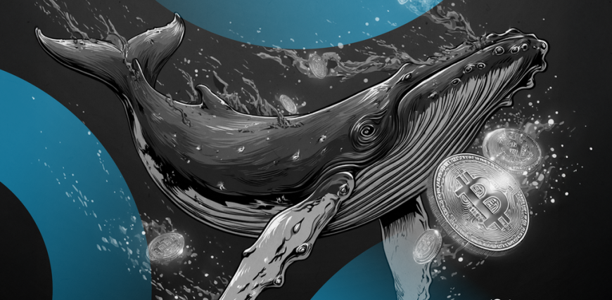 bitcoin-whale-decrypt-style-03-gID_7.png