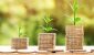 bloombergquint2Fimport2Fmoney-tips_650x400_51514783142.jpg