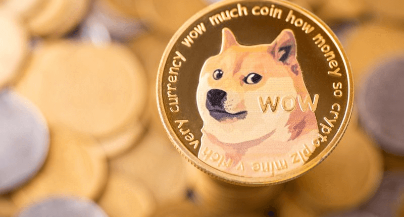 dogecoindoge2.png