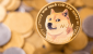 dogecoindoge2.png