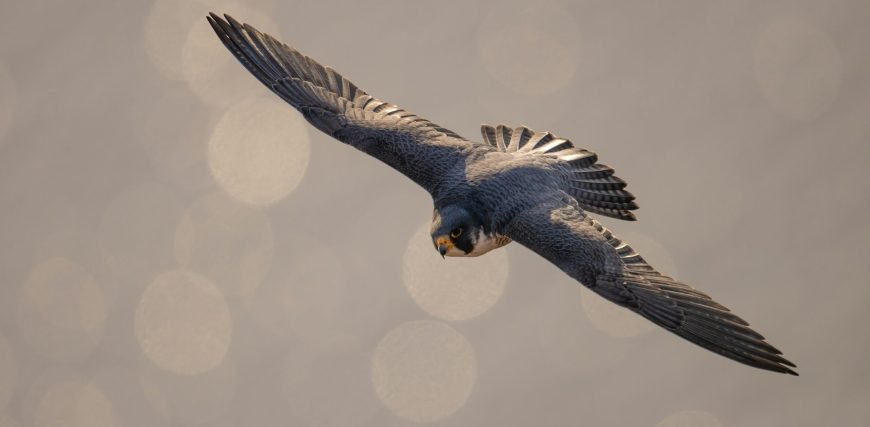getty-images-isV501kqA4w-unsplash-scaled-e1761338000301.jpg getty-images-isV501kqA4w-unsplash-scaled-e1761338000301.jpg
