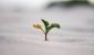 jeremy-bishop-vGjGvtSfys4-unsplash-scaled-e1759521695735.jpg