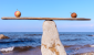 smsf-returns-compare_91744740_c.png