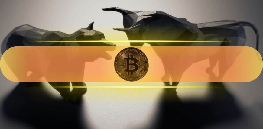 Bitcoin_Bear_Bull.jpg