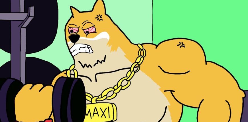 Maxi-Doge-Pump.jpg