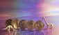 golden-bitcoin-coins-with-dinosaurs-on-neon-backgr-2025-02-10-00-10-05-utc-1024x683.jpg