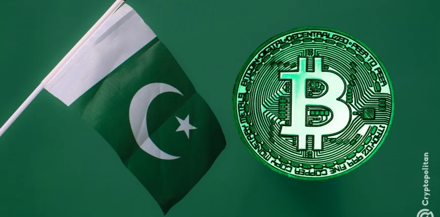 Pakistan-crypto-foundation-national-financial-.webp.webp