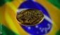 brazil-crypto-25126.webp.webp brazil-crypto-25126.webp.webp