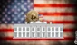 white-house-crypto-market-bill.webp.webp white-house-crypto-market-bill.webp.webp