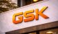 gsk-stock-price-eu-nod-for-nucala-in-copd-puts-the-focus-on-monday-trade-featured.jpg gsk-stock-price-eu-nod-for-nucala-in-copd-puts-the-focus-on-monday-trade-featured.jpg
